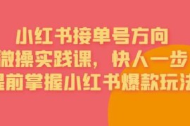 小红书接单号实操运营课程 从定位到导流全流程爆款玩法详解