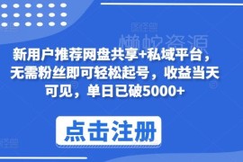 无需粉丝即可操作的网盘拉新项目 玩法多样收益当日可见