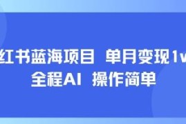 小红书蓝海AI实操项目分享 小白零经验上手单月可变现1万+