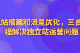 独立站搭建流量优化收款全流程 三合一运营实战课程