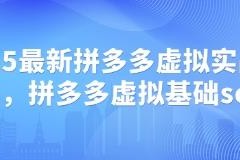 2025最新拼多多虚拟店铺运营实战打法 附全流程基础SOP