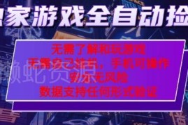 CSGO游戏饰品交易全自动捡漏项目玩法 低门槛操作当天可见收益