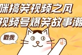 视频号猫咪搞笑故事项目实操攻略 无门槛入门可轻松实现盈利