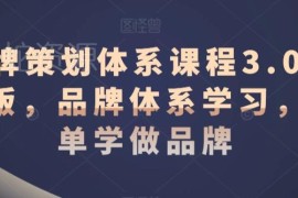 品牌策划体系3.0升级版课程 系统学习品牌搭建全流程方法