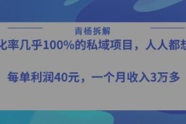 无需出镜高转化私域赚钱项目 单利40-50元适合小白月入过万