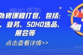 全套外贸实战课程打包 涵盖背调业务SOHO选品展会等模块
