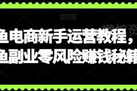 闲鱼电商新手运营全教程 零基础副业开店实操技巧汇总