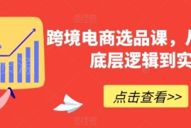 跨境电商选品实战课程 从底层逻辑到实操技巧全流程解析