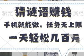 手机可操作的零撸赚钱项目介绍 猜谜录入等任务无经验即可上手