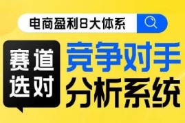 电商盈利8大体系线上课 赛道选择及竞品分析核心方法学习