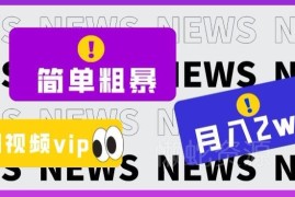 零成本全网视频VIP掘金项目详解 新手易操作月入最高可达2万