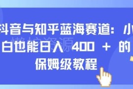 抖音知乎蓝海赛道实操教程 零基础小白可上手的低门槛赚钱玩法