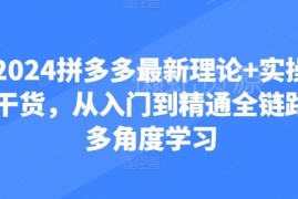 2024拼多多运营从入门到精通 全链路理论+实操干货合集