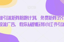 小红书精准引流实操教程 免费矩阵+付费投流玩法从0到1教学