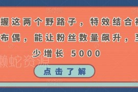 抖音涨粉实用方法：巧用猪头特效搭配布偶实现粉丝快速增长