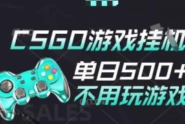 2025年CSGO非汇率全自动搬砖玩法 手机操作无需游玩项目揭秘