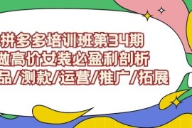拼多多第34期高价女装教程 选品测款运营推广全流程解析
