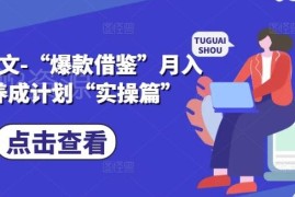小说推文爆款借鉴实操指南 零基础可上手的月入过万运营方法