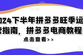 2024下半年拼多多旺季运营指南 电商店铺实操全教程