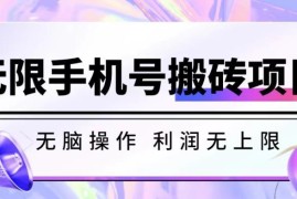 无脑搬砖项目揭秘：无限接码撸红包操作流程及收益详情