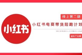 2025小红书虚拟电商实战课 从0搭建无货源店铺AI变现教程