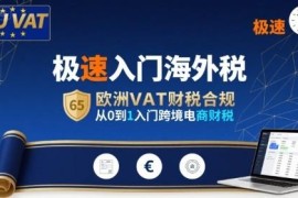 跨境电商海外税零基础入门 欧洲VAT财税合规实操全指南