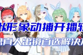 AI视频动捕虚拟辅助直播产品介绍 无需真人出镜适配多平台