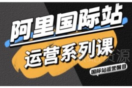 阿里国际站运营系列课 含引流推广SOP AI工具及高阶增长玩法