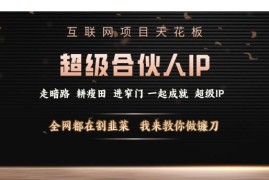 2025超级合伙人IP打造项目揭秘 知识付费创业核心技能玩法解析