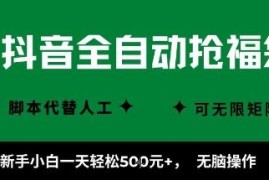 抖音全自动抢福袋项目实操指南 新手矩阵操作收益方法详解