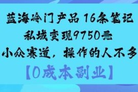 冷门小众蓝海赛道玩法：仅靠16条笔记实现私域变现近万元