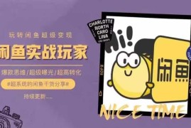闲鱼运营从0到1系统实操教程 掌握选品思维提升曝光转化率