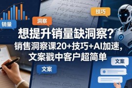 销售洞察实用教程 20+技巧+AI工具助力精准触达客户提升销量
