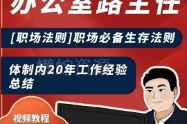 体制内20年工作经验总结 办公室职场必备生存法则教程