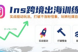 Ins跨境出海实战训练营 社媒自然流量涨粉运营玩法详解