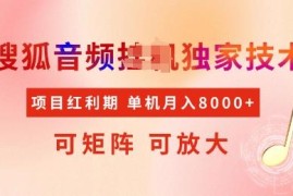 搜狐音频挂机独家技术教程 可矩阵放大稳定增收项目解析