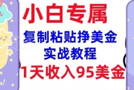 0门槛复制粘贴赚美金实操教程 新手可做的海外副业入门方法