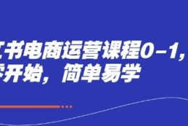 小红书电商0-1系统运营教程 新手开店带货全流程实操课