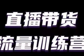 直播带货流量训练营教程 小白主播入门必备实用直播技巧课