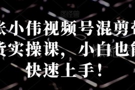 张小伟视频号混剪带货实操课 零基础小白也能快速上手运营