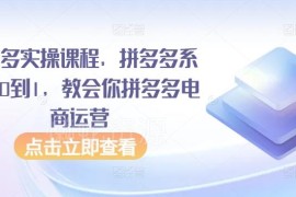 拼多多从0到1系统运营实操课 新手商家开店全流程教学