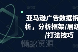 亚马逊广告数据拆解分析 含分析框架层级优化及实操打法技巧