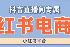 小红书电商高级运营实操课 含开店选品运营全流程案例教学