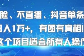 无需露脸无需直播 抖音单条视频日入过万项目普通人可操作