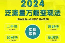 2024泛流量万能变现法教程 普通人轻资产创业变现实操指南