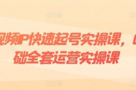0基础短视频IP起号实操全课 爆款内容粉丝运营变现教程