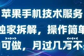 闲鱼苹果手机技术服务项目拆解 0成本小白可做副业实操指南