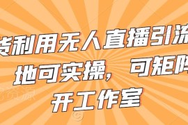 无需卖货的无人直播引流实操教程 可矩阵可工作室规模化落地