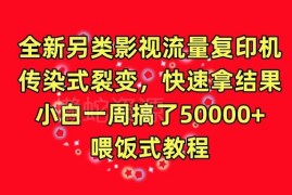 擦边影视解说流量裂变变现教程 零基础新手易上手快速盈利