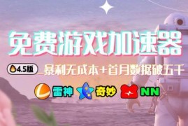 游戏加速器项目4.5版本最新打法 低门槛蓝海项目适合新手操作